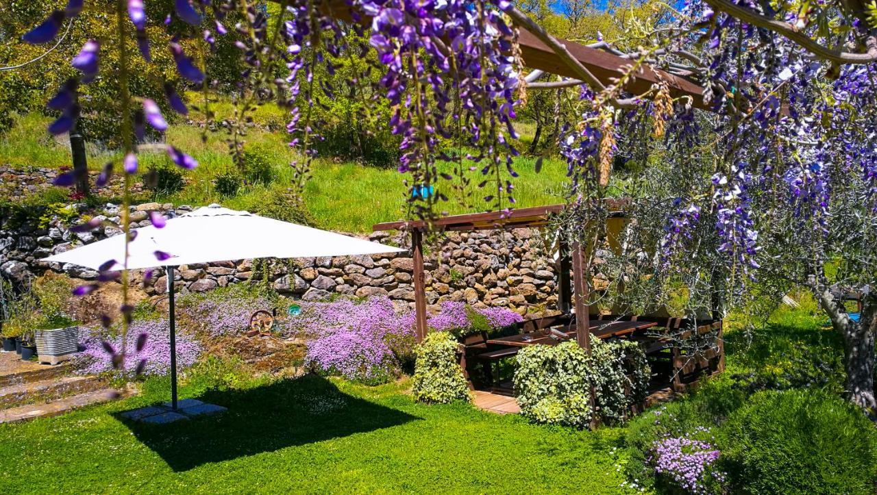 Podere Pontepietra Soriano nel Cimino Kültér fotó